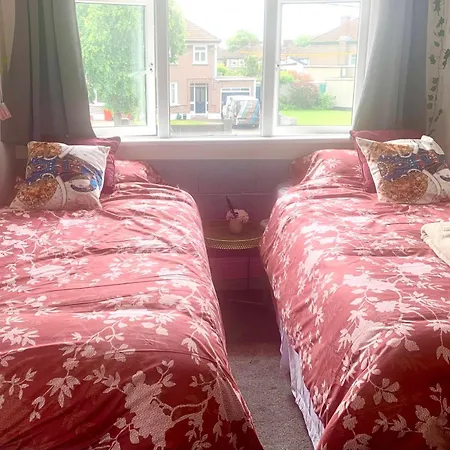 Large In Excellent Location Double Or Two Singles * Dublin